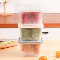 SUHE Drain Layer Food Container Food Fresher Drain basket Sealed Box Rectangular Kitchen Airtight Box Sieve StorageMulticolor