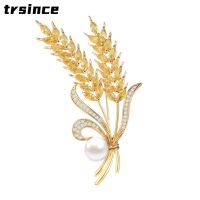 【DT】hot！ Luxury Rhinestone Ear Brooch Collar Pins for Mens Brooches Pin Jewelry Accessories