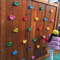 （AT）10PcsIndoor ClimbingWall Stones Hand Feet HoldsHardware Kits คละสีเรซิ่น Crafts