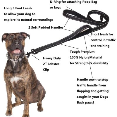（PAPI PET）Papi Pet 3M สายจูงสุนัขสุนัขขนาดใหญ่ขนาดกลาง,สายจูงสุนัขสายจูงสุนัขสะท้อนแสงหนาสองชั้นอุปกรณ์เสริมสำหรับสุนัขวิ่ง
