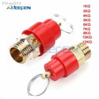 1/3/4/5/6/7/8/10/12KG Air Compressor Safety Release Relief Valve Connector Air Gas Pressure Regulator 1/4 For Pressure Piping