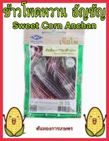 เมล็ดพันธุ์ ข้าวโพดหวาน อัญชัญ Sweet Corn Anchan ข้าวโพดทานดิบ ข้าวโพดนมสด ต้นโตเร็ว ปลูกง่าย ดูแลน้อย ต้นแข็งแรง ผลผลิตสูง ทนโรค