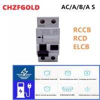 【LZ】 Class B RCD Residual Current Circuit Breaker 2P 4P 25A 40A 63A 30mA 100mA 300mA 6kA 10kA 2 Pole 4 Pole Type B RCCB