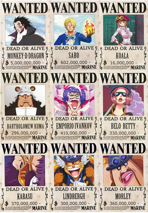 One Piece Wanted Revolution Army 9 Pcs Poster Straw Hat Cap Pirates Flag Bracelet Brooch T