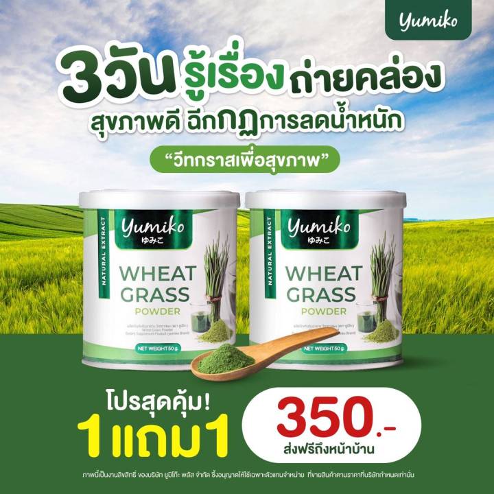 yumiko-wheat-grass-วีทกราส-คลอโรฟิลล์-ยูมิโกะ-วีทกราส-ผงผัก-ไฟเบอร์-1-แถม-1-เพียง-350-บรรจุ-50-กรัม-กระปุก