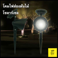 ไฟปักสนาม solar cell โคมไฟปักดิน โคมไฟส่องต้นไม้ LED ไฟส่องต้นไม้ Spotlight Outdoor