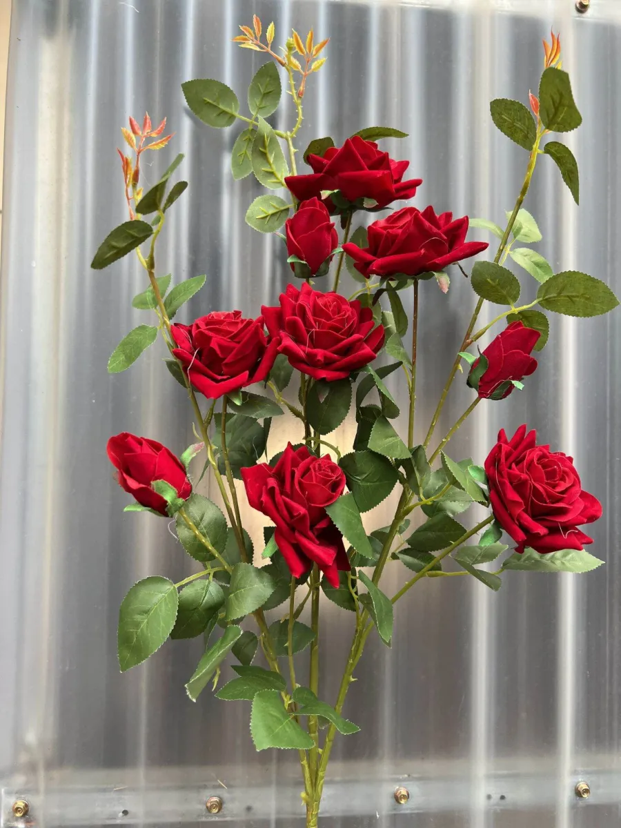 Hoa hồng giả trang trí 9 bông dài 90cm, được chế tác tỉ mỉ và chân thực, trông như những cành hoa thật vậy. Với màu đỏ tươi sáng, hoa hồng giúp mang lại sự may mắn, thành công và thịnh vượng cho căn phòng của bạn.