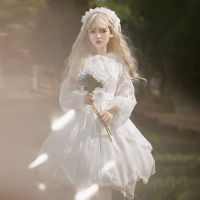 Princess Tea Party Sweet Lolita Elegant Dress Vintage Streamer Yarn Butterfly Lolita Long Sleeve Dress Cosplay Cos Loli