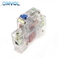 DZ47-63 1P 6A 10A 16A 20A 25A 32A 40A 50A 63A transparent Mini Circuit breaker C45 Breakers Load Centers  Fuses