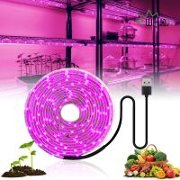 Led Grow Light Full Spectrum 5V Usb Grow Light Strip 2835 Led Phyto โคมไฟสำหรับพืชเรือนกระจก Hydroponic Growing 0.5M 1M 2M 3M