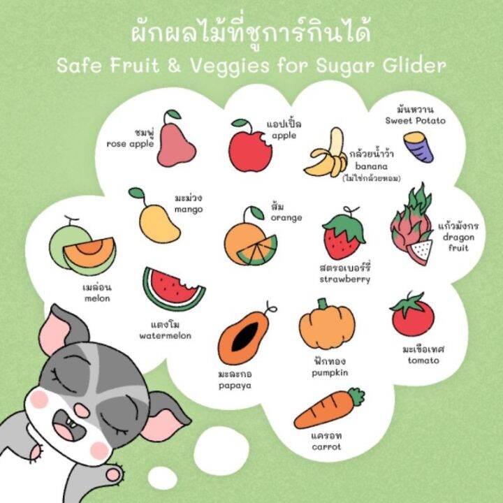 ขนาดประหยัด-ปลาเส้นชูก้าร์-ออริจินอล-250g-พาราไดซ์ของแท้-paradisepet-เจ้าแรกที่ผลิตสำหรับชูก้าร์-ปลาขาว-นุ่ม-รับประกัน