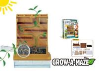 DR.BERT ของเล่นเพื่อการทดลองทางวิทยาศาสตร์ Grow A Maze ทดลองปลูกต้นไม้ ดูเส้นทางเดินของต้นไม้พร้อมอุปกรณ์