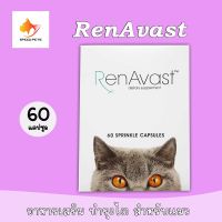 RenAvast CAT 60 capsules อาหารเสริม บำรุงไตแมว แมวป่วยโรคไต บรรจุ 60 แคปซูล