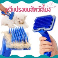 DGY หวีแปรงขนสัตว์ ❂▧[ ABC cat ] [ 003 ] หวี หวีขนสัตว์เลี้ยง  สัตว์เลี้ยง หวีหมา หวีแมว หวีแปรงขนสุนัข  แปรงหวีขน