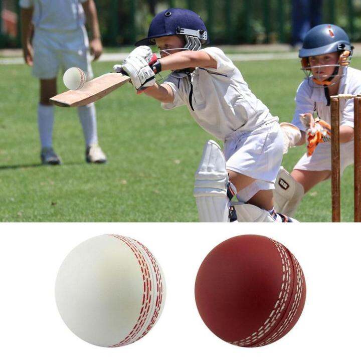 cricket-ball-sports-wind-cricket-balls-sports-wind-indoor-outdoor-soft-training-balls-for-practice-portable-training-balls-for-swinging-bouncing-spinning-honest