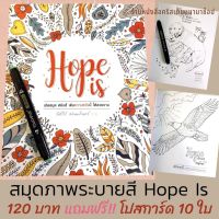 สมุดภาพระบายสี Hope Is หนังสือคริสเตียน โปสการ์ดคริสเตียน พระคำพระเจ้า สมุดระบายสี พระเจ้า พระเยซู  เด็กและวัยรุ่น ข้อพระคัมภีร์