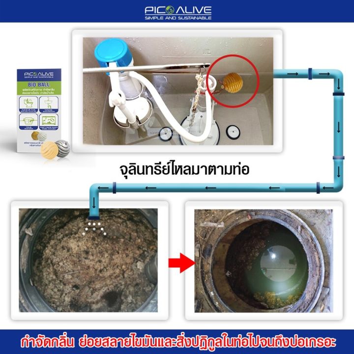 ลูกบอลจุลินทรีย์-bio-ball-กำจัดกลิ่นส้วม-กำจัดกลิ่นเหม็น-กลิ่นอับชื้น-pico-bio-ball-พิโก-1-กล่อง-10-ลูก