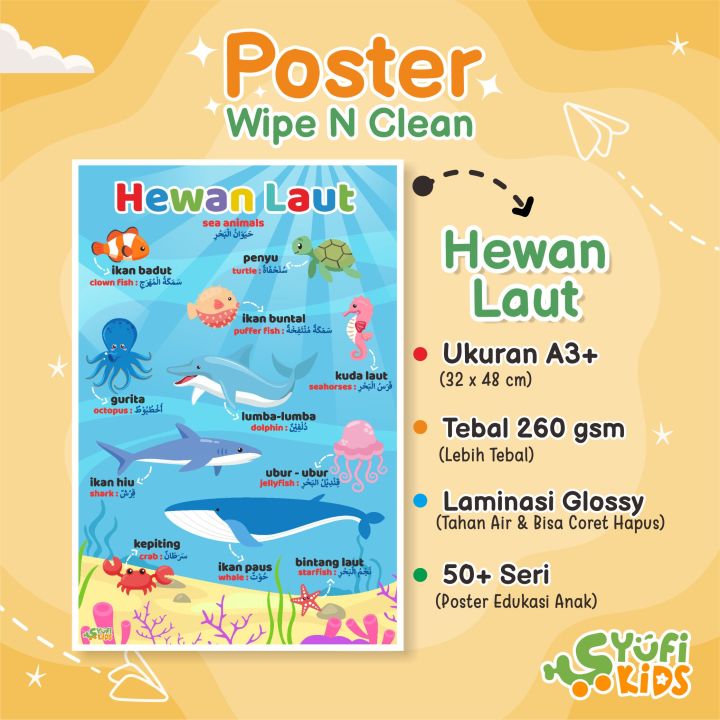 POSTER EDUKASI ANAK Seri HEWAN LAUT | Lazada Indonesia