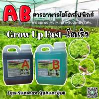 ปุ๋ยไฮโดรโปนิกส์ ปุ๋ยAB ปุ๋ยน้ำ A1ลิตร ฺB1ลิตร ปุ๋ยผักสลัด สำหรับปลูกผัก Hydroponics ขนาด1000ML New สูตรเข้มข้น