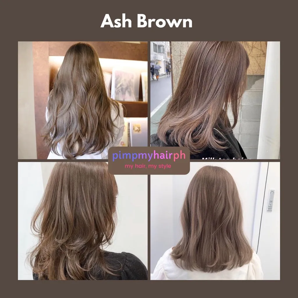 Bremod Ash Set: Ash brown balayage hair color with freebieaFq | Lazada PH