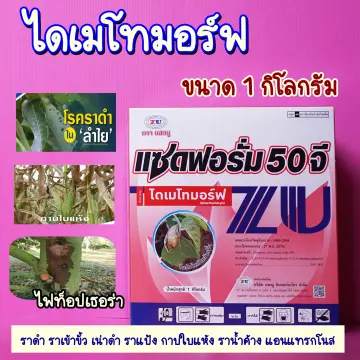 ไดเมโทมอร์ฟ50 ราคาถูก ซื้อออนไลน์ที่ - ต.ค. 2023 | Lazada.co.th