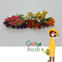 Get Fresh ดอกไม้ดินปั้น 10 ต้น ,ดอกไม้จิ๋ว , ดอกทิวลิป,  Miniature Clay Flower , Fake Flower ,  ขนาดวัดด้วยมือประมาณ 2.5 x 6 cm  เกรดสวยงานละเอียด