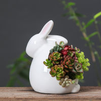 Korean Creative Cartoon Rabbit Animal Succulent Flower Pot Home Gardening Office Desktop White Porcelain Ceramic Flower Pot