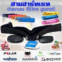 อะไหล่ สายคาดอก สายรัด วัดชีพจร Garmin polar wahoo Bryton HeartRate  Heart Rate Monitor ที่เสีย ยืด ไม่วัดหัวใจ ราคาถูก