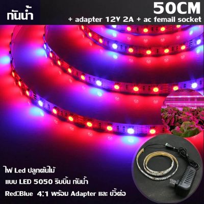 MJ-tech ไฟ Led ปลูกต้นไม้ แบบ LED 5050 ริบบิ้น กันน้ำ ยาว 50 cm สัดส่วน Red:Blue 4 :1 พร้อม Adapter และ ขั้วต่อ