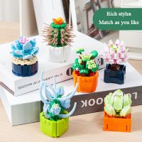 Mini Potted Building Blocks Succulents Home Decoration MOC Flower Model Girl Children DIY Toys Educational Gift