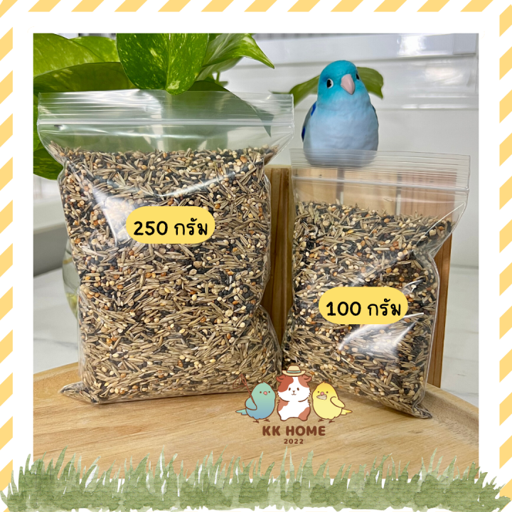 แบ่งขาย-อาหารเสริมสมุนไพร-health-seed-mix-สมุนไพร-ขนาด-100-250-กรัม-สมุนไพรสำหรับนกแก้ว-อาหารเสริมนก-อาหารเสริมนกแก้ว-นกแก้ว-อาหานกแก้ว