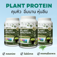 3 กระปุก VERTECH NUTRITION Plant Protein Matcha Terpene โปรตีนพืช (รสมัทฉะเทอร์พีน) (ตรา วีเอ็น)