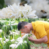 Hcmmật ong hoa cà phê nguyên chất - mật ong họ hồ - chai thủy tinh 420gr - ảnh sản phẩm 2