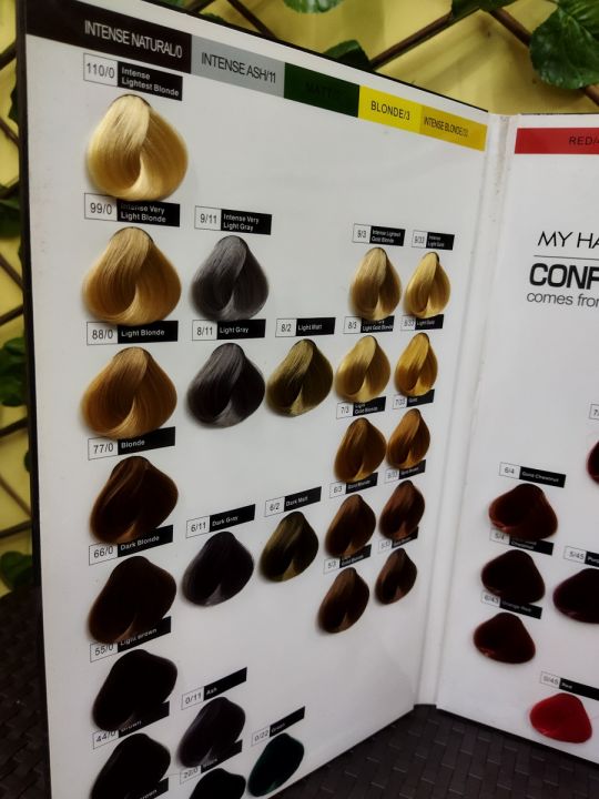 Bremod Performance Hair Coloring Chart Color Brochure Bremod | Lazada PH
