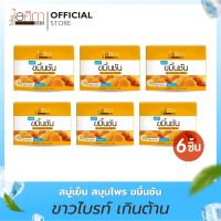 (6ชิ้น) สบู่เย็นขมิ้นชัน+คอลลาเจน+วิตามินซี ขนาด 100 กรัม I TURMERIC COOL SOAP (6 Pcs.)