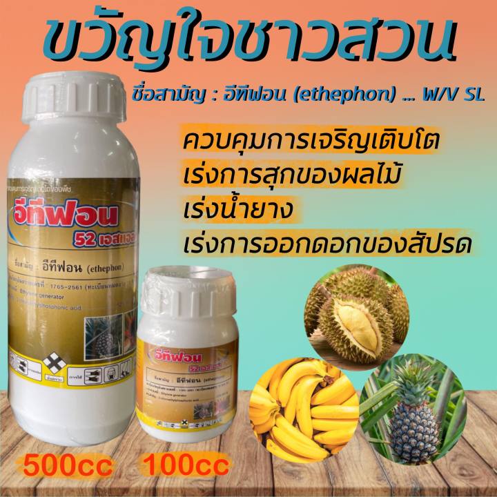 อีทีฟอน-52-100-ซีซี-อีทีฟอน-บ่มทุเรียน-บ่มกล้วย-บ่มผลไม้-เร่งน้ำยาง-เร่งดอกสับปะรด-ethephon-52-w-v-sl