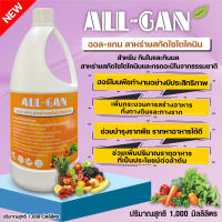 ปุ๋ยน้ำพืชกินใบและกินผล1000ML.ช่วยให้พืชทนต่อสภาวะอากาศที่แปรปรวน รากและลำต้นแข็งแรงALL GANสาหร่ายสกัดไซโตไคนินช่วยต้านทานต่อโรคและแมลง