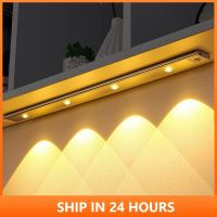 30cm 60cm 80cm PIR Motion Sensor Hand Scan LED Night light USB Bar lamp Bedroom Desk lamp Reading home Kitchen Wardrobe Decor 20 Night Lights