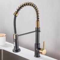 Removable Kitchen Faucet Gourmet Kitchen Removable For Kitchen Sink Mixer Tap For Sink Black Luxury