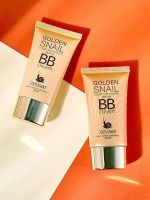 WW Snail BB Cream Long-lasting Concealer Isolation Moisturizing Waterproof Sweat Does Not Take Off Makeup Brand Flagship Store Official Authentic Meiqian RR?