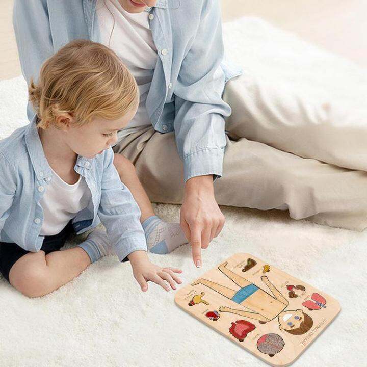 human-body-puzzle-human-body-structure-wooden-puzzle-for-children-educational-jigsaw-puzzles-human-body-parts-montessori-interactive-learning-puzzles-for-preschoolers-adorable