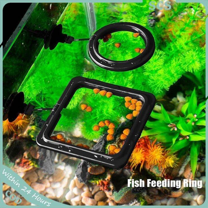 New Aquarium Fish Feeding Ring Square and Round Floating Fish Feeder