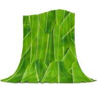 New Style Green Throw Blanket Macro Texture of Green Leaf with Veins Environment Foliage Botany Ecology Warm Soft Lightweight King Size