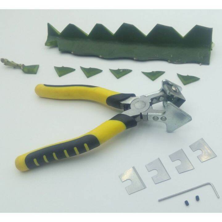 Dragon Fruit Grafting Scissors Dragon Fruit Grafting Knives Dragon