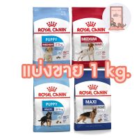 HOG อาหารสุนัข Royal Canin Medium/Maxi แบ่งขาย 1kg สำหรับสุนัขพันธุ์กลางและพันธุ์ใหญ่ อาหารหมา  สำหรับสุนัข