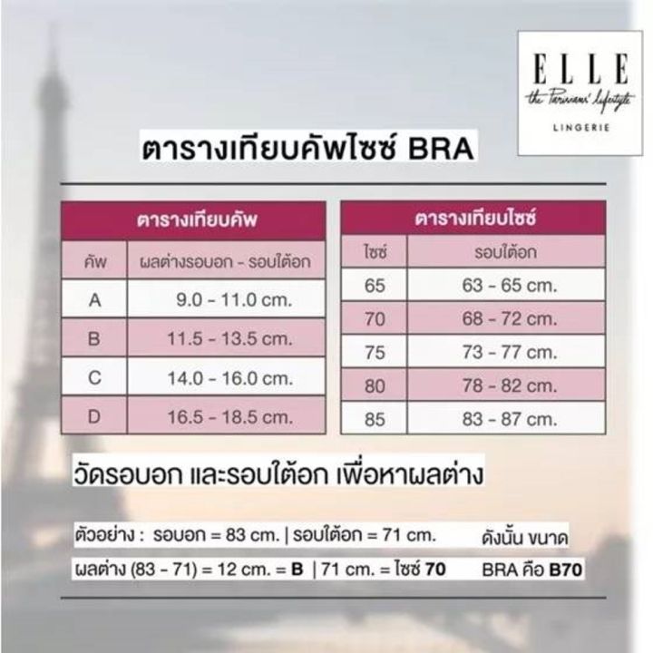 elle-lingerie-molded-bra-pleat-ยกทรงรูปแบบเสริมฟองน้ำ-lb6541