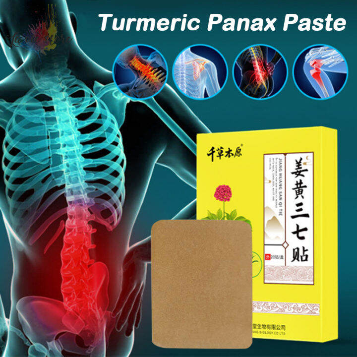 [La vis] Turmeric Panax Notoginseng Leg Stickers Lumbar Joint Self ...