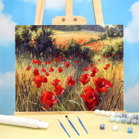 Poppy Flowers Coloring By Numbers Painting Set Acrylic Paints 50*70 Boards By Numbers Paintings For Kids Handiwork Art