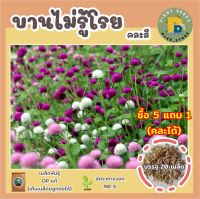 เมล็ดพันธุ์ดอกบานไม่รู้โรยคละสี 20 เมล็ด (Mixed Globe Amaranth Flower Seed) เมล็ดพันธุ์แท้ คุณภาพดี ปลูกง่าย โตไว ไม่กลายพันธุ์ (ซื้อ 5 แถม 1)