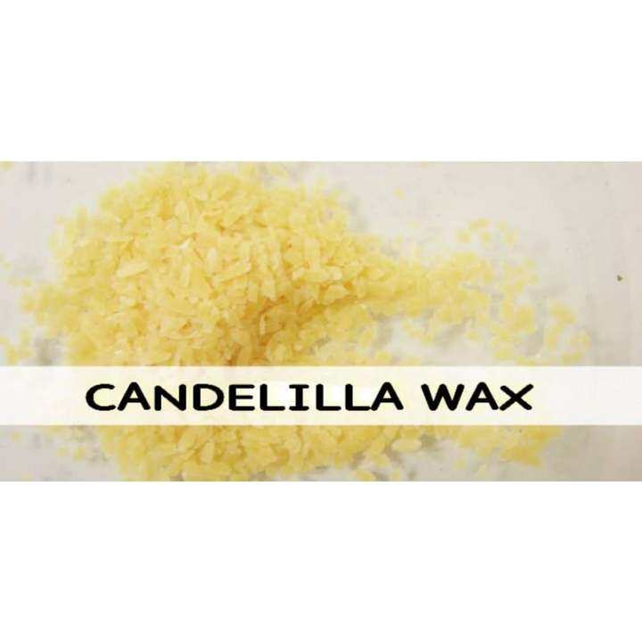 Candelilla Wax Lazada PH